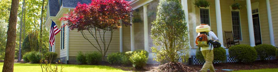 Mosquito Yard Treatment