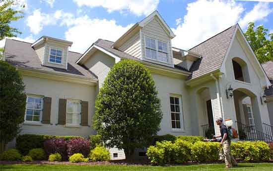 Tick and Flea Control