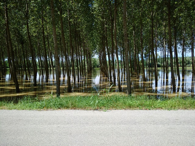 flooding