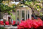 Mosquito Control in Chapel Hill